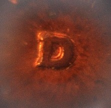 1983-D-LMC-RPM?