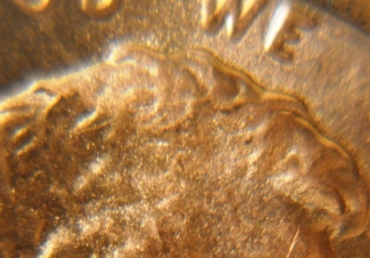 LSC-2011-P-1-DO-006