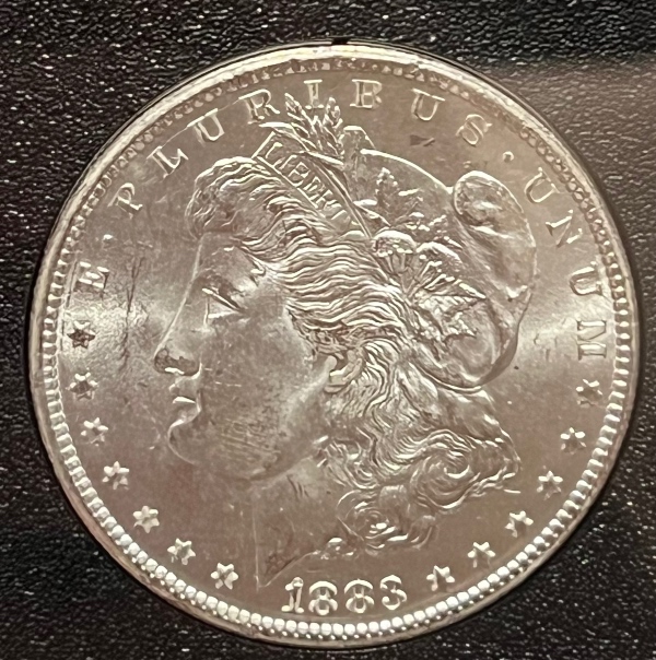 1883-CC-GSA-Morgan-Dollar-Opinions