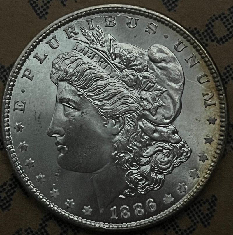 1886-Morgan-With-Strange-Feature-For-Grading