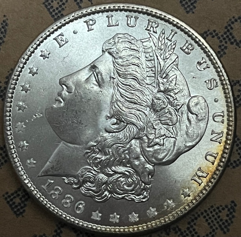 1886-Morgan-With-Strange-Feature-For-Grading