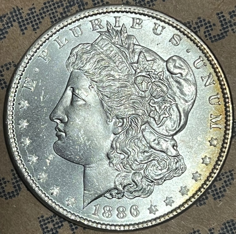 1886-Morgan-With-Strange-Feature-For-Grading