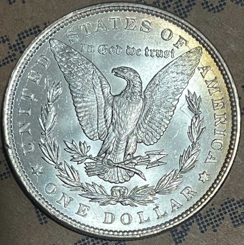 1886-Morgan-With-Strange-Feature-For-Grading