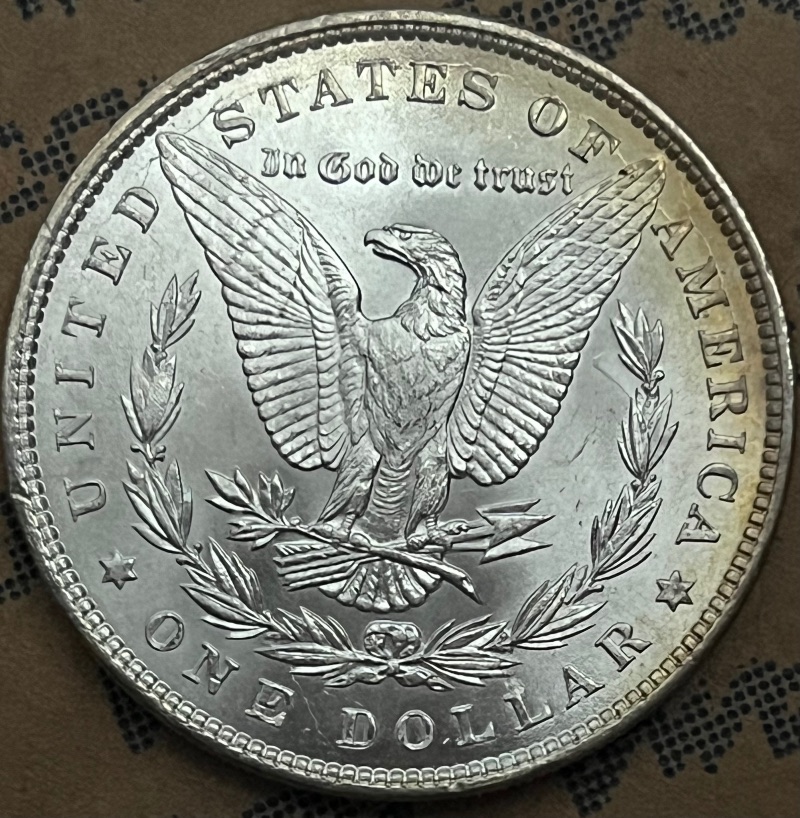 1886-Morgan-With-Strange-Feature-For-Grading
