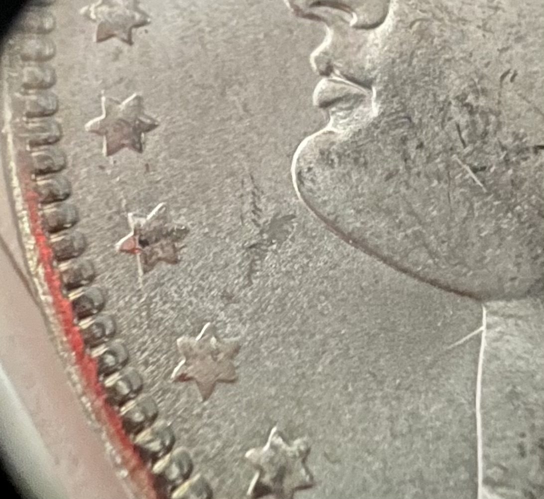1886-Morgan-With-Strange-Feature-For-Grading