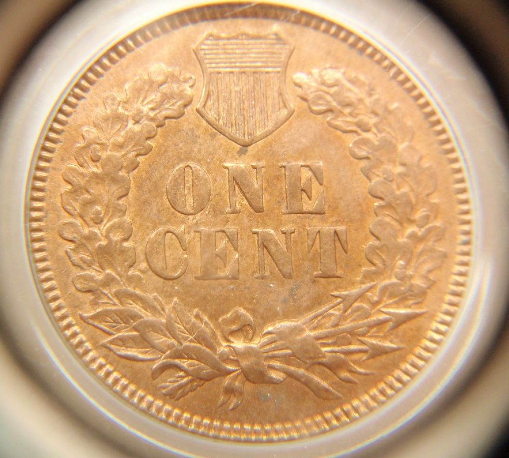 1873-Indian-Head/Ddo....you-Vs.-PCGS