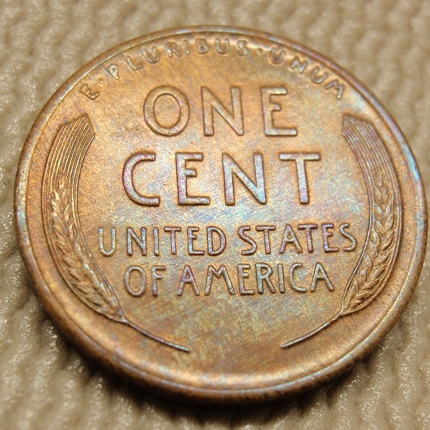 Toned-Early-Wheaties!