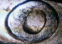 1970-D-Washington-Quarter-DDR?