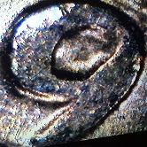1970-D-Washington-Quarter-DDR?