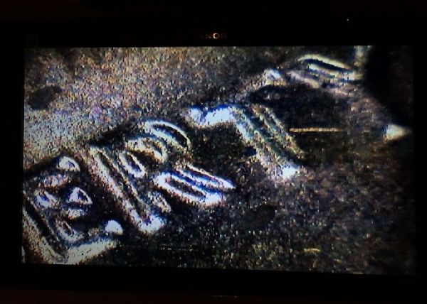 1984-Penny-Doubled-Die?
