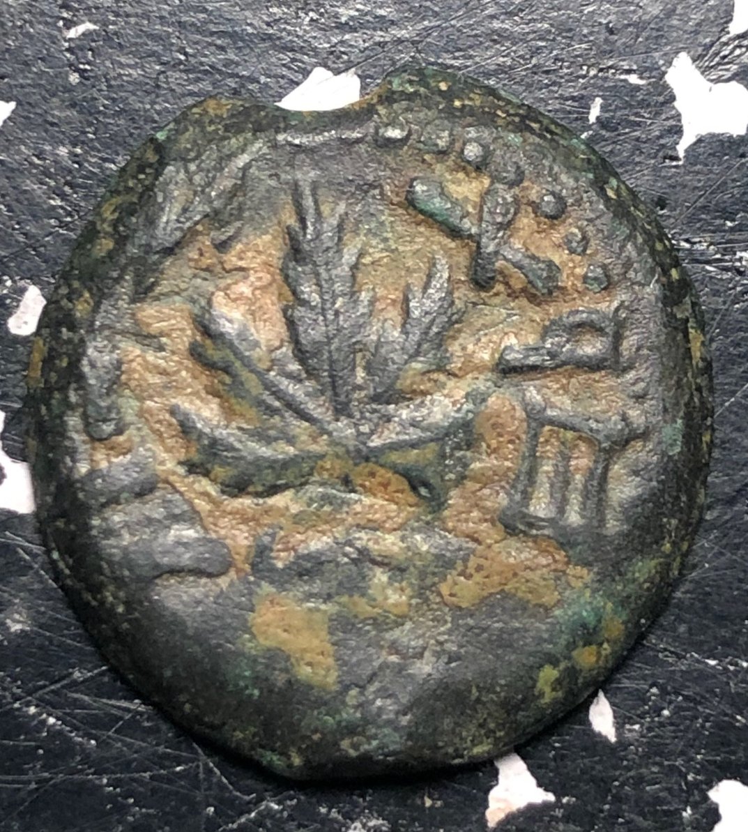 Ancient-Judea?-Ae-2.87g-16.5mm