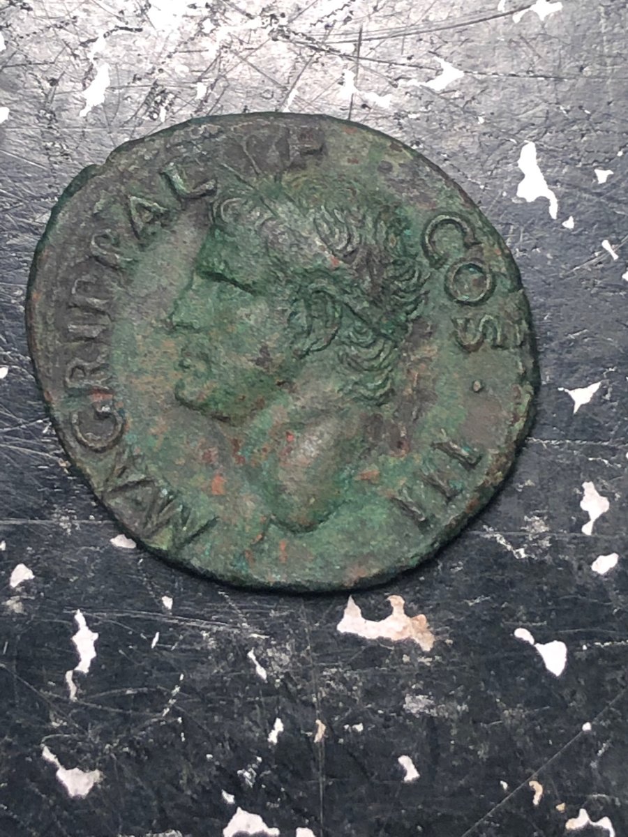 M.-Agrippa-Ae-As-Struck-Under-Caligula-10.66g-27.6mm