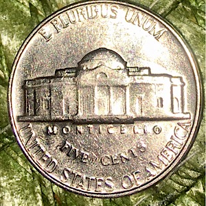 Asking-For-Help-Regarding-A-Very-Detailed-1964-Nickel-In-Question