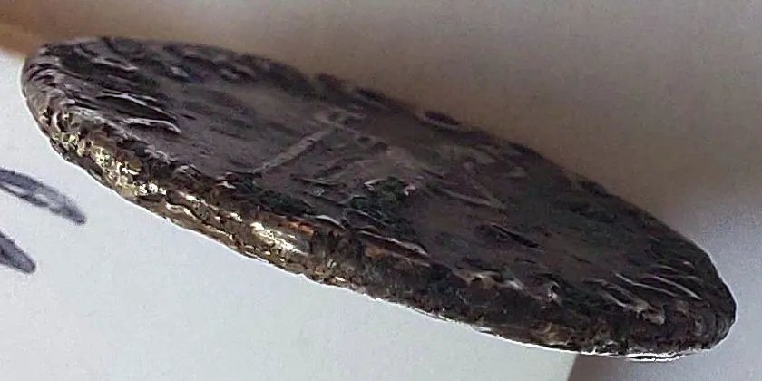 Domitian-Fourree-Denarius,-Mule