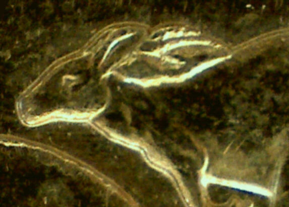 Noodling-Find-Of-The-Week?