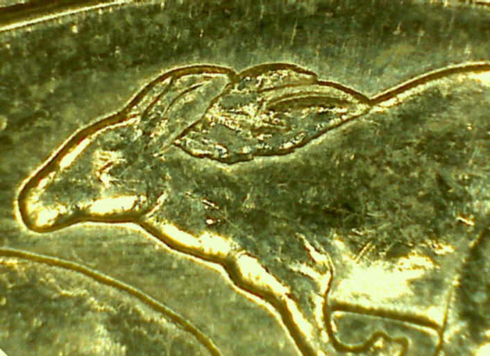 Noodling-Find-Of-The-Week?