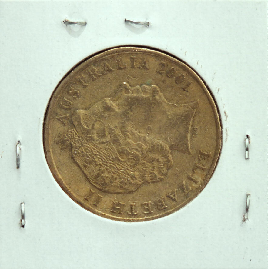 Noodling-Find-Of-The-Week?