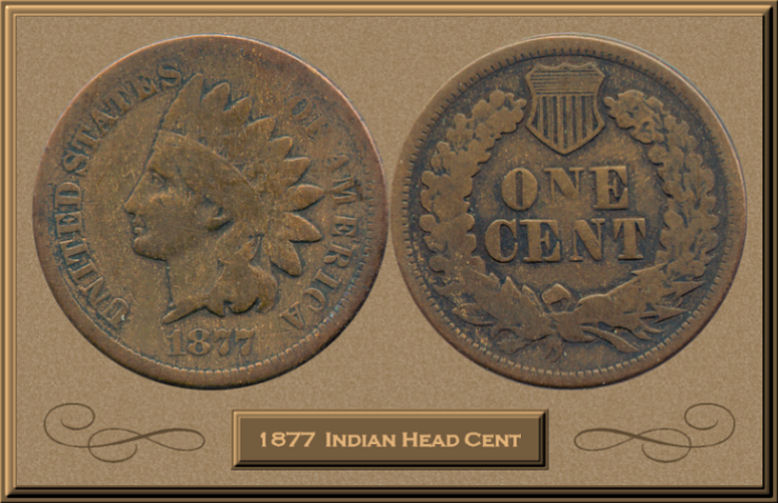 Your-12-Favorite-19th-Century-Coins!