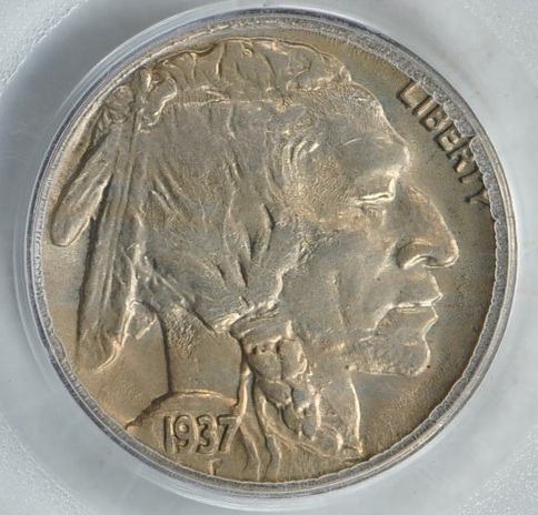 Confused-About-Obverse-Of-This-3-Legged-Buffalo