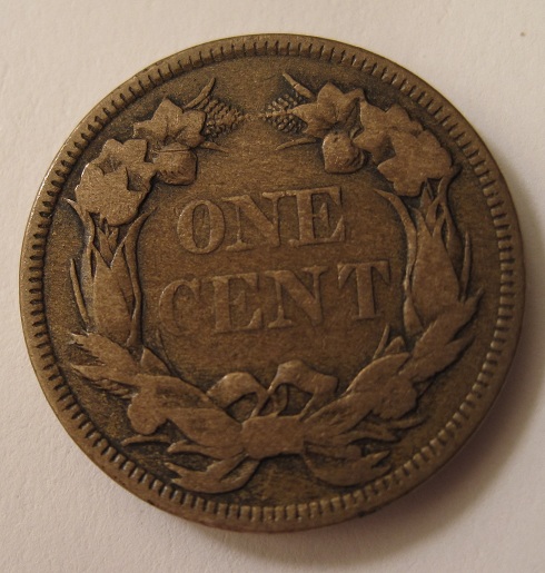 1858-Flying-Eagle---Honing-My-Grading-Ability
