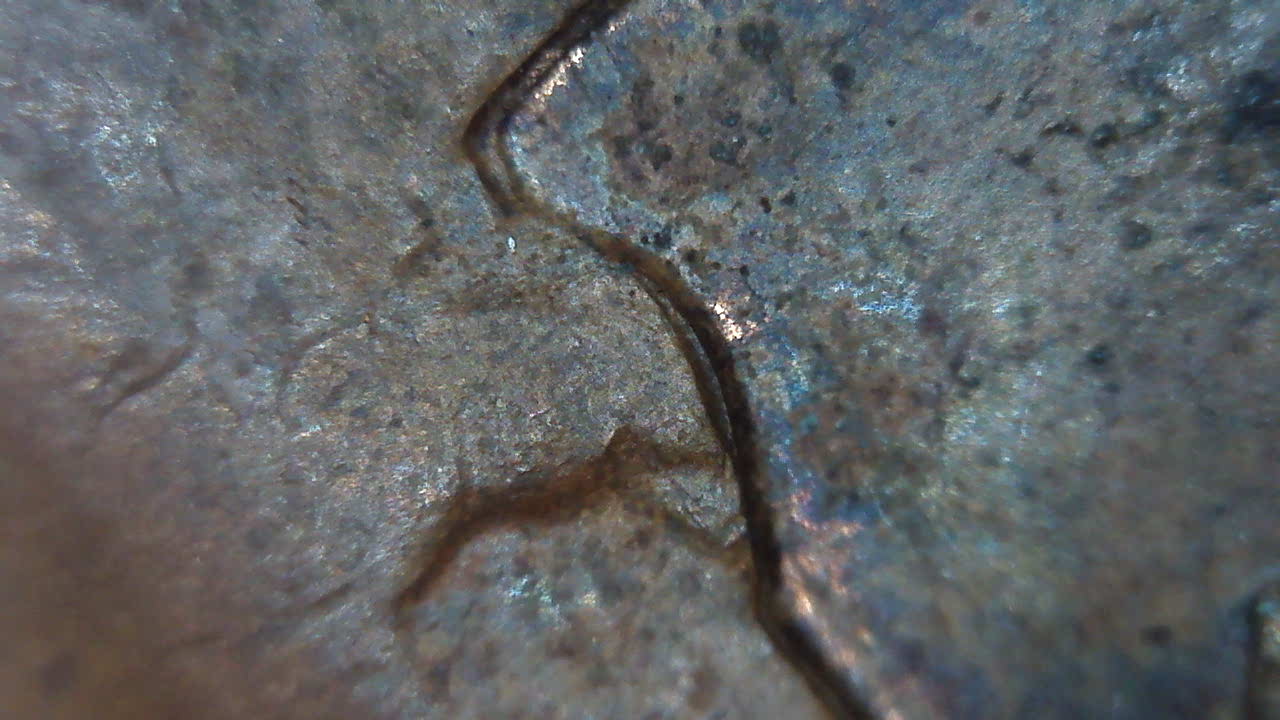 1961-D-Memorial-Penny-DDO?