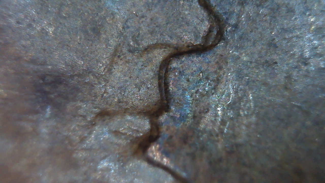 1961-D-Memorial-Penny-DDO?