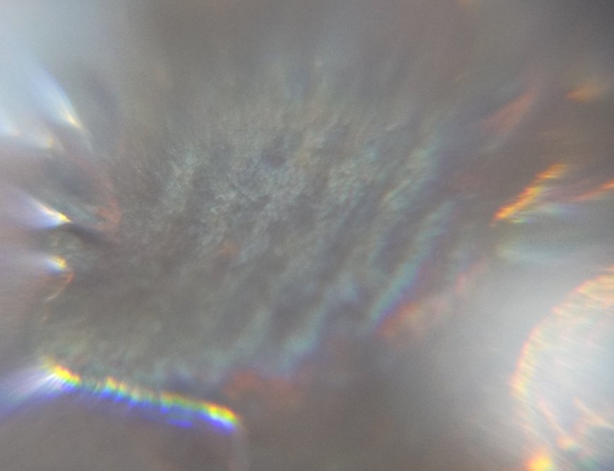 1903-Indian-Head-Cent,-Cleaned/Polished?-Mystery-Fingerprint-Lots-Of-Pics