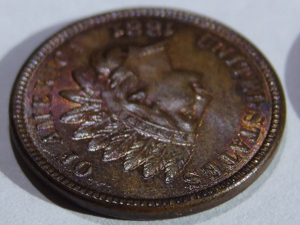 1881-Indian-Head-Cent-Help-Determining-BN-From-RB,-Lots-Of-Pics
