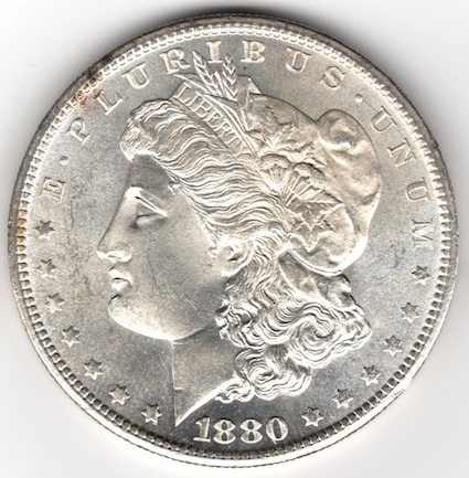 ANACS-Grades-Back