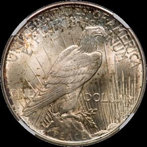 1926-D-Peace-Dollar---Possible-VAM?