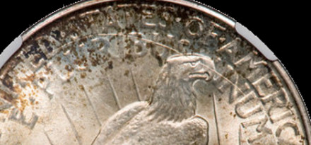 1926-D-Peace-Dollar---Possible-VAM?