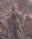 Art-On-Coins