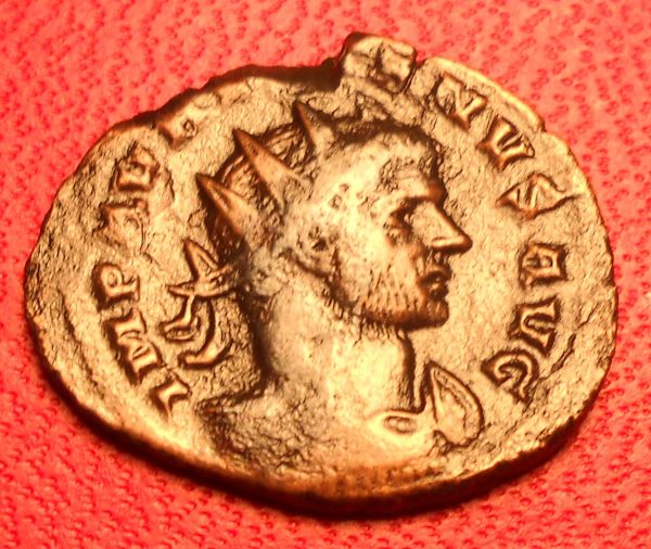 Aurelian?