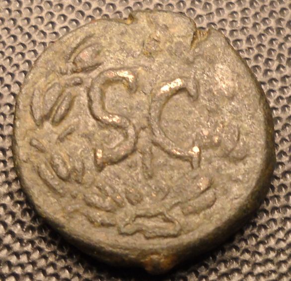 Help-ID-Ant-Pius-Coin