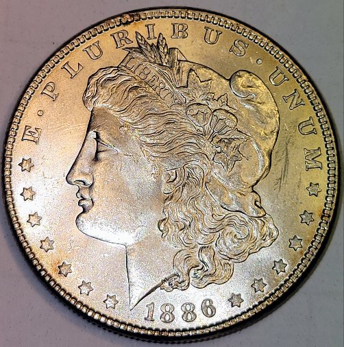 1886-Morgan-For-Evaluation