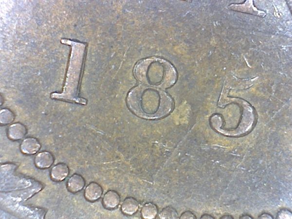 Playing-With-My-New-Microscope-And-1859-Large-Cent-Vicky