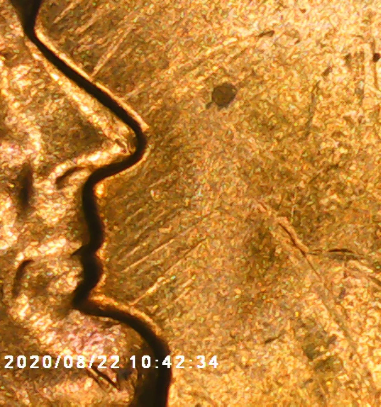 1966-One-Cent-With-Die-Polishing-And-More.