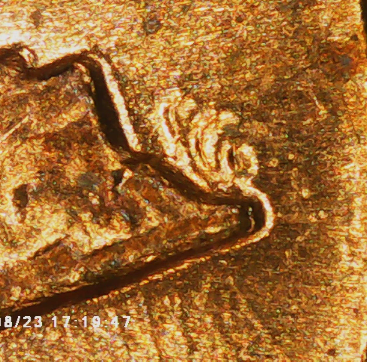 Is-This-1969-S-One-Cent-A-DDR-002,-Pr-1-V1