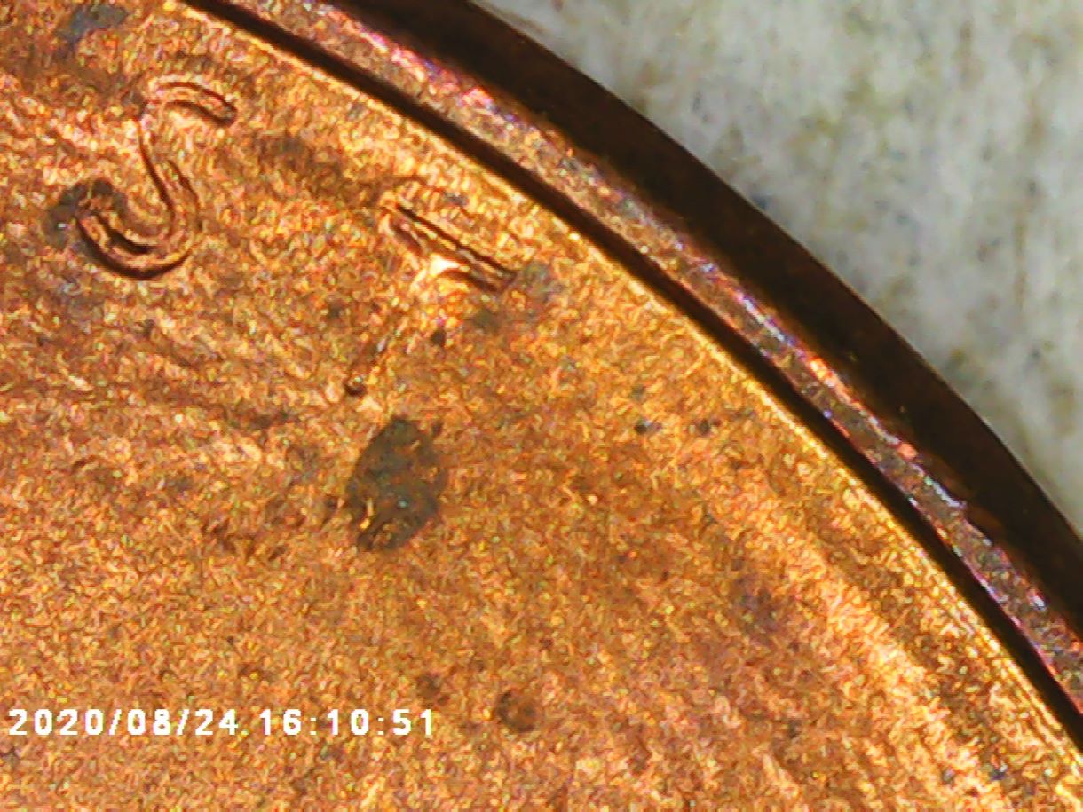 1988-D-One-Cent-Date-With-Ridges-On-Date