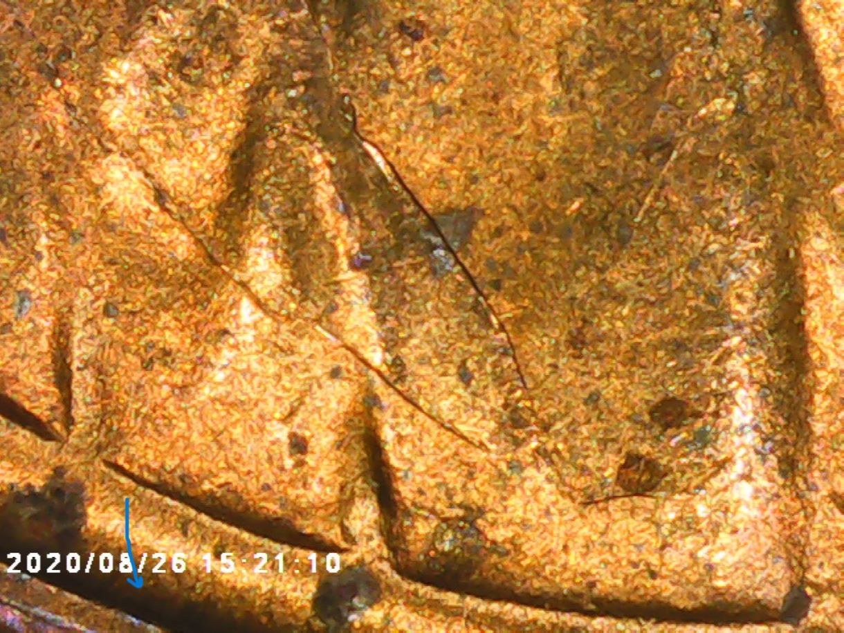 1955-S-One-Cent-Cracked-And-Raised-Areas