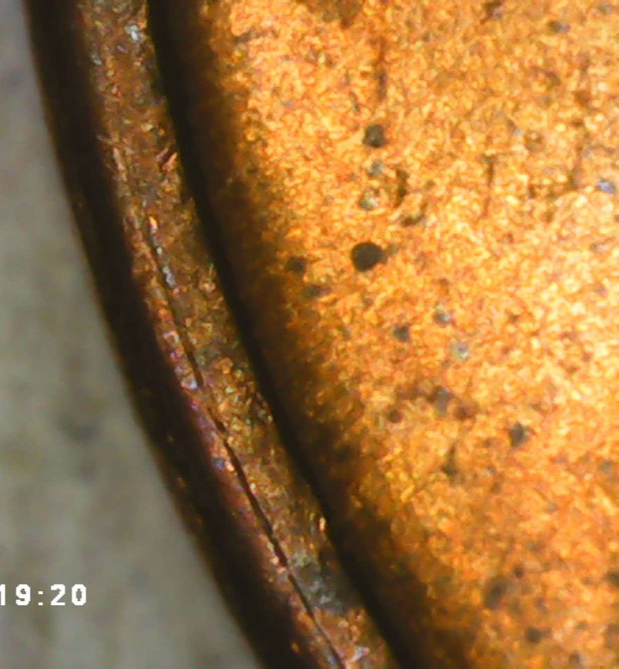 1955-S-One-Cent-Cracked-And-Raised-Areas