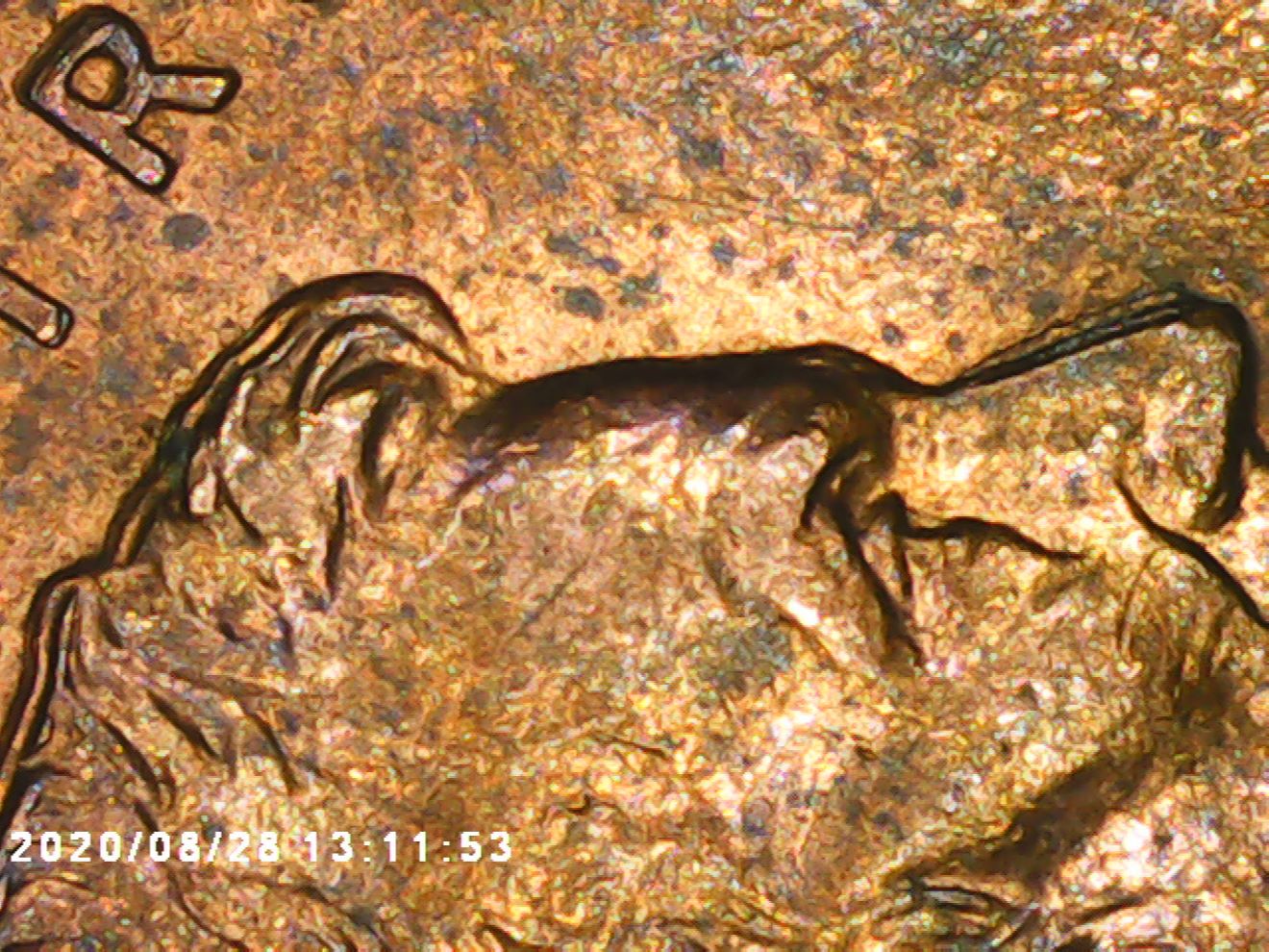 1999-One-Cent-DDD-Or-MD-Extreme?