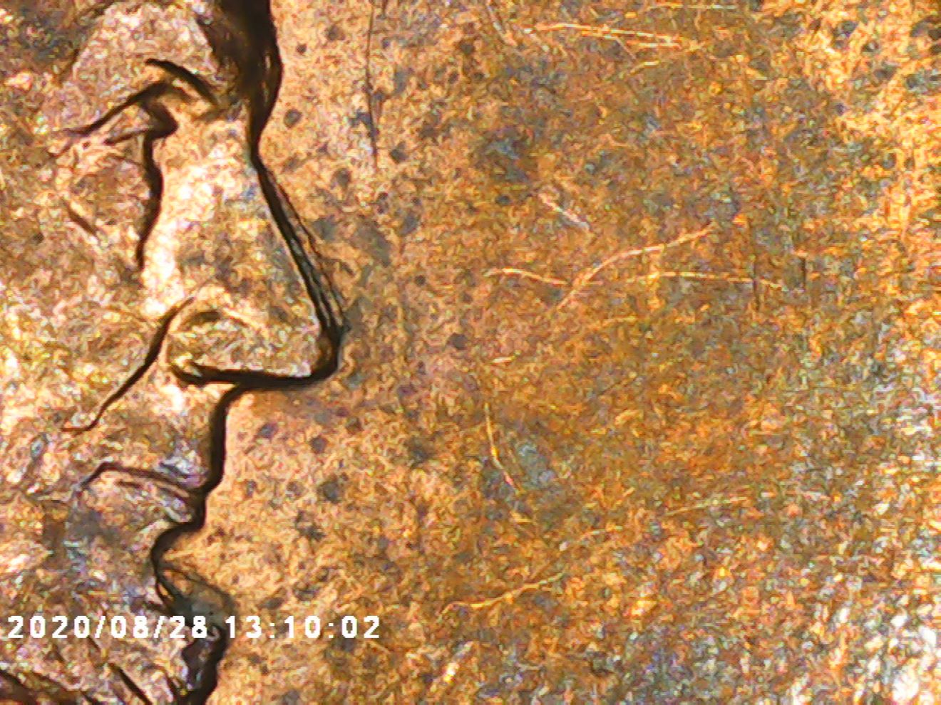 1999-One-Cent-DDD-Or-MD-Extreme?