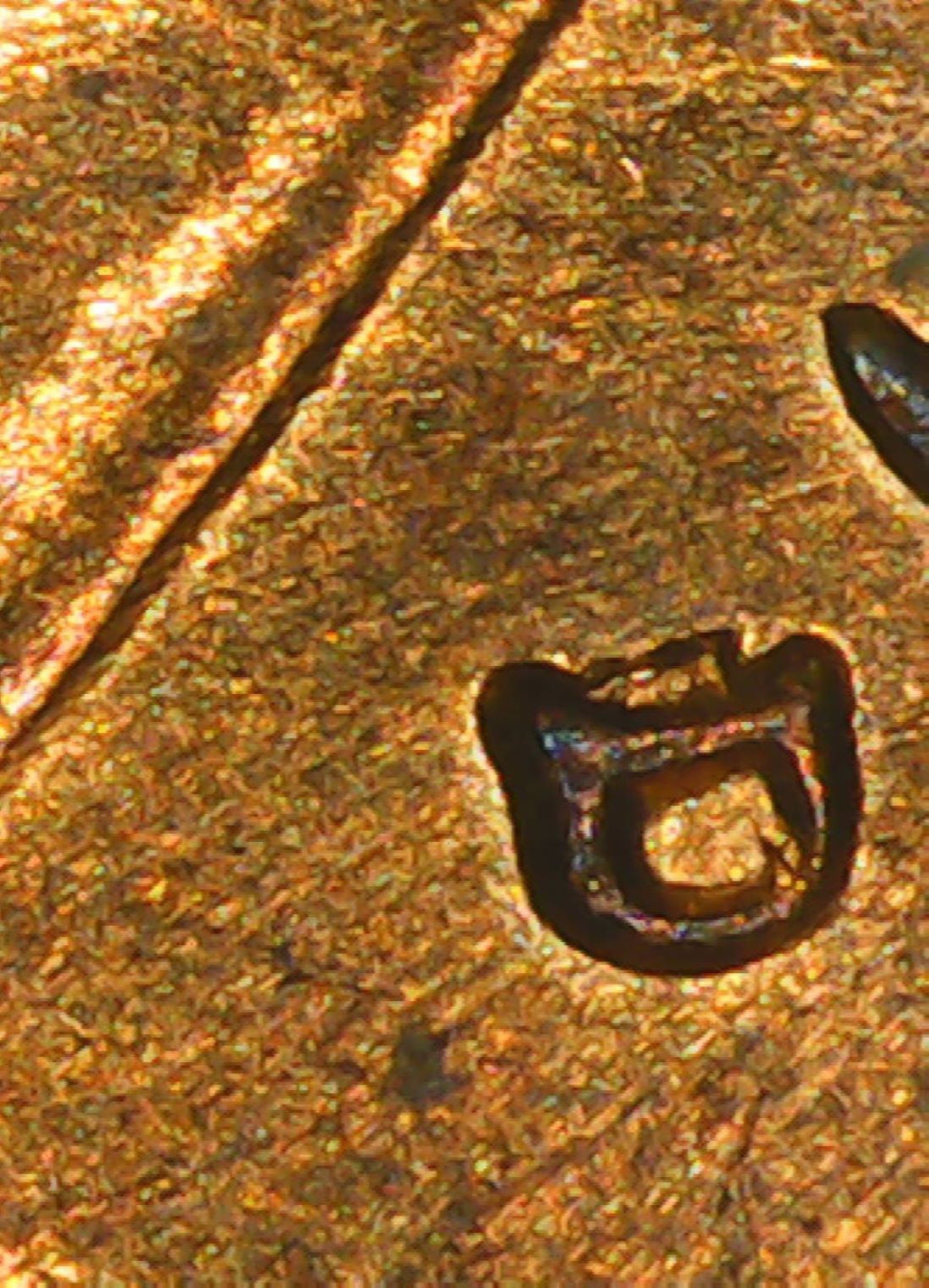 1961-D-One-Cent-D-Over-Horizontal-D-Wexler-WRPM-001