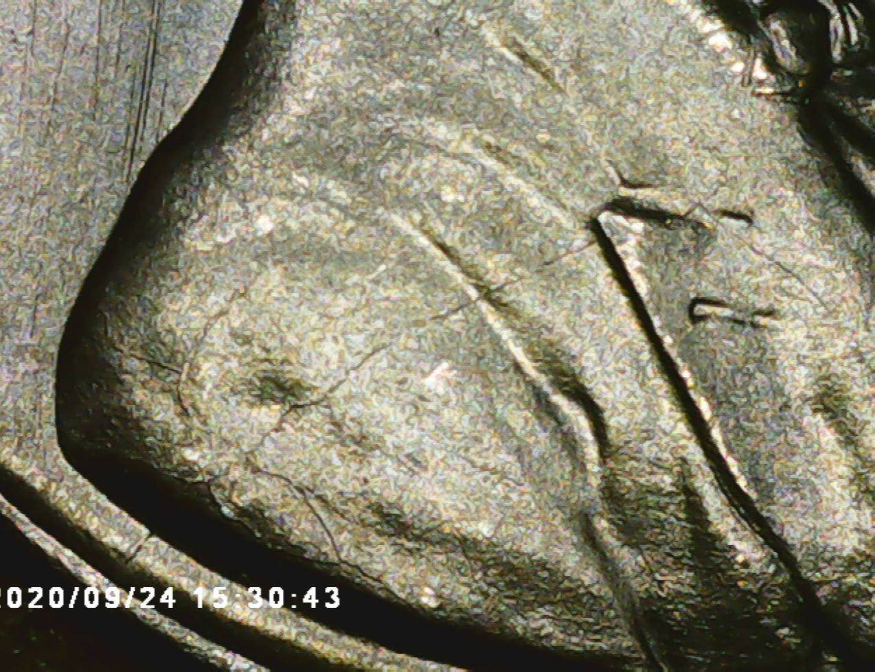 Need-Help-On-1943-S-One-Cent.possible-RPM-With-Die-Cracks
