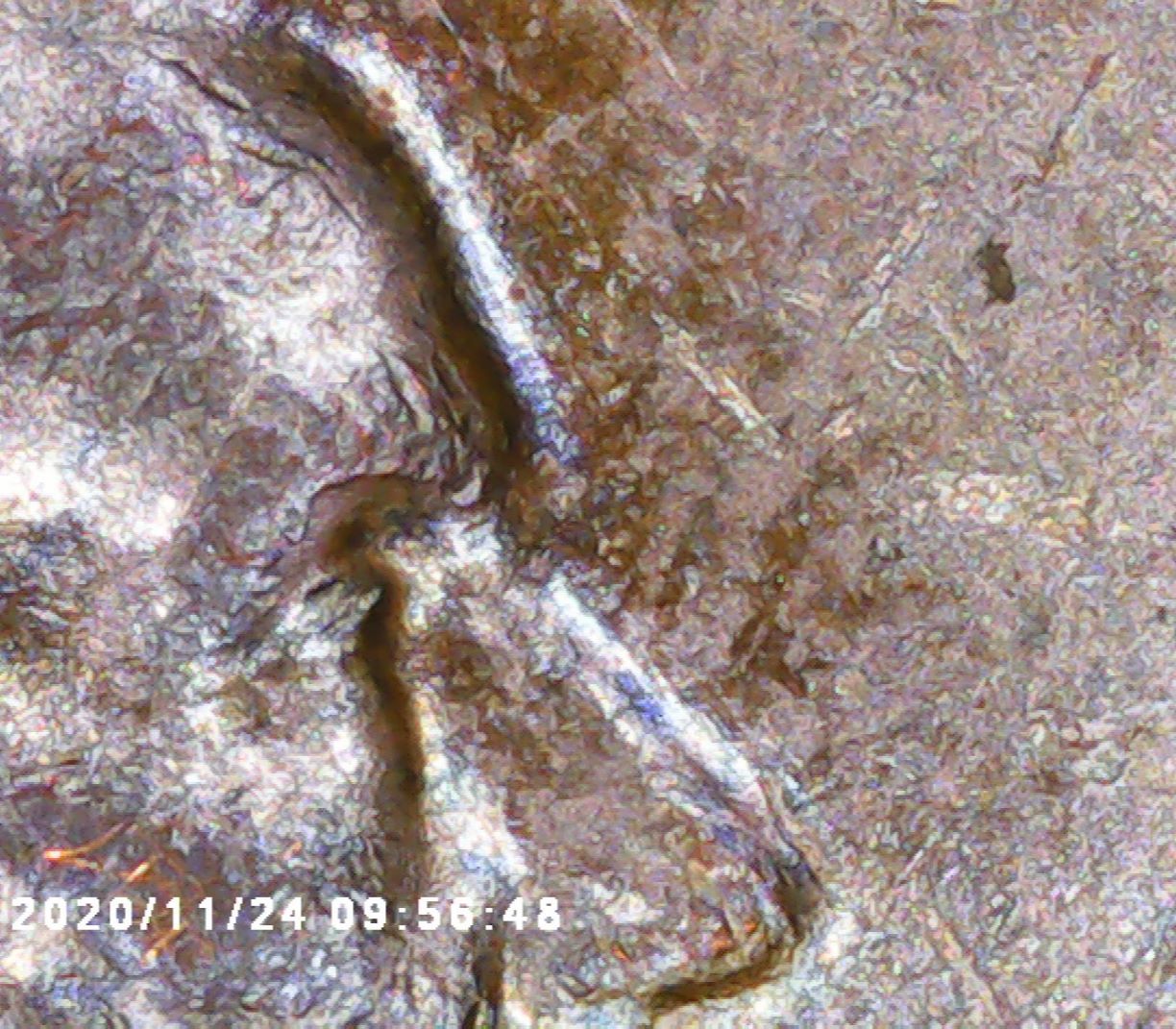 1972-One-Cent-DDO-002