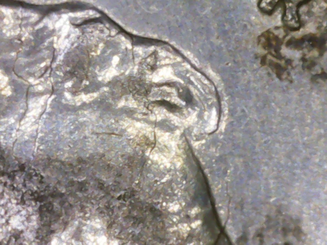 1943-D-Lincoln-Wheat-Cent-Lam-Issues