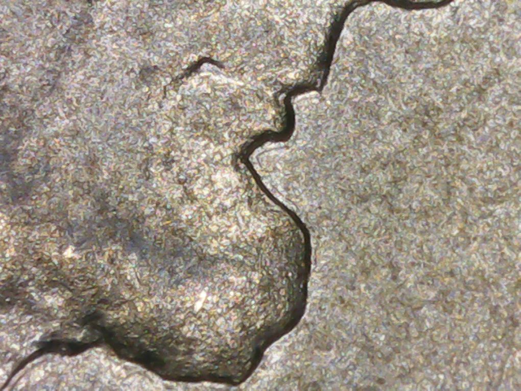 1943-P-Steel-Cent-Die-Cracks-?