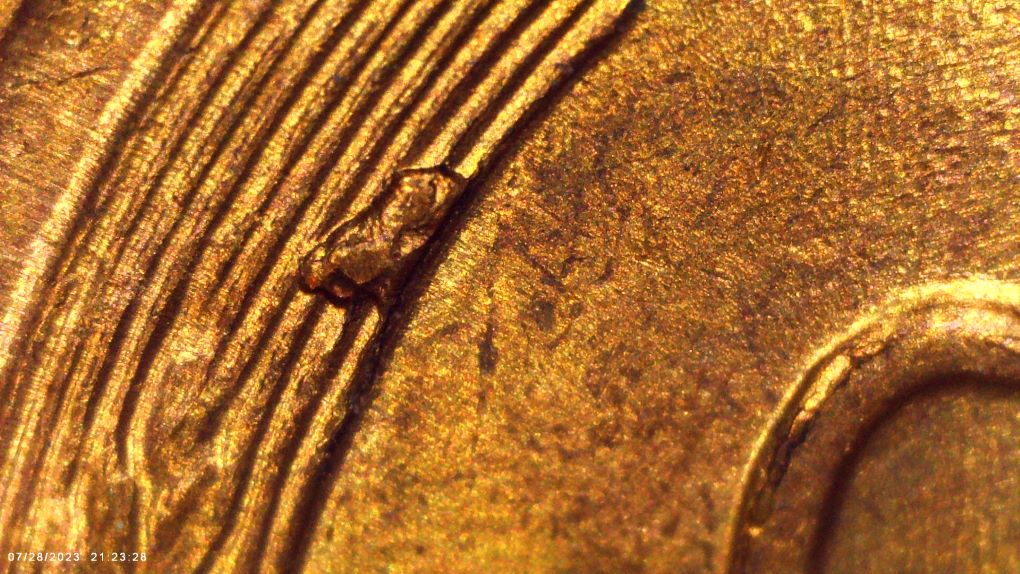 1955-One-Cent-Cuds,-Cracks-And-Lams