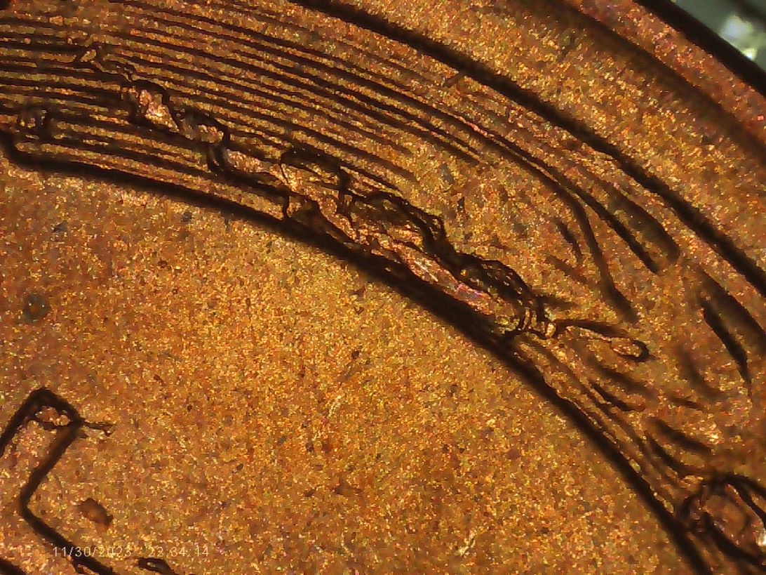 1955-S-Cent-Cud,-Retained-Cud-Or-Die-Chip?